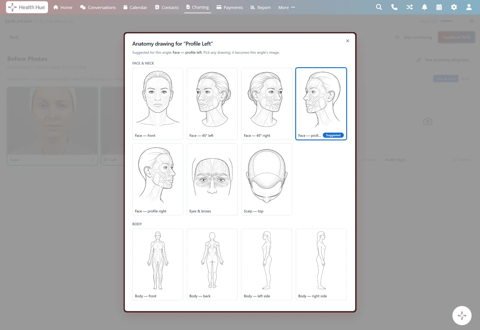 A library of drawings in the Health Hue Hub.